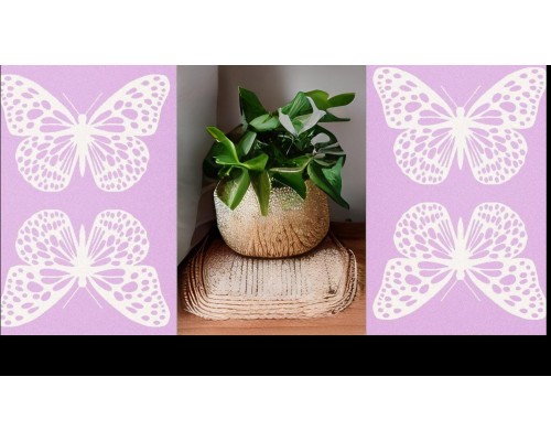 Agnella Ковер Soft Agnella Butterfly rose Agnella Ковер Soft Agnella Butterfly rose