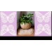 Agnella Ковер Soft Agnella Butterfly rose