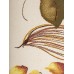 Erdenet Ковер монгольский Hunnu 6A1535 001