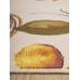 Erdenet Ковер монгольский Hunnu 6A1535 001