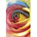 Erdenet Ковер монгольский Hunnu 6A1857 175