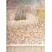 Erdenet Ковер монгольский Hunnu 6A2133 001
