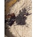 Erdenet Ковер монгольский Hunnu 6A2484 029