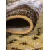 Erdenet Ковер монгольский Hunnu сувенирный new 6S860 82 котята