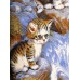 Erdenet Ковер монгольский Hunnu сувенирный new 6S860 82 котята