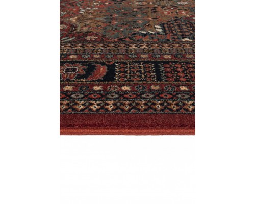 Osta Ковер бельгийский Kashqai 4309 300 Osta Ковер бельгийский Kashqai 4309 300