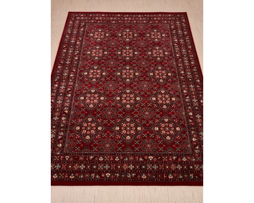Osta Ковер бельгийский Kashqai 4372 300 Osta Ковер бельгийский Kashqai 4372 300