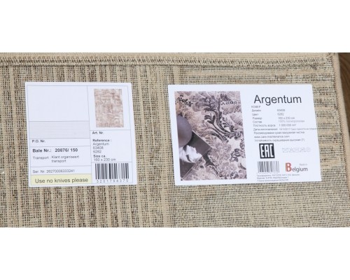 Ragolle Ковер бельгийский Argentum 63408 6282 Ragolle Ковер бельгийский Argentum 63408 6282