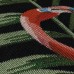 Ковер Турецкий YAKAR TEKSTIL GREEN BAY дизайн 6539-1 MULTICOLOR