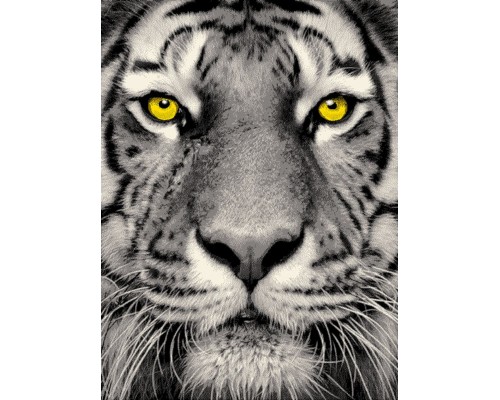 Ковер Фэнси дизайн 20765 цвет 22045