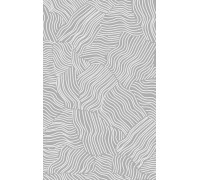 Merinos Ковер Briz F658 gray