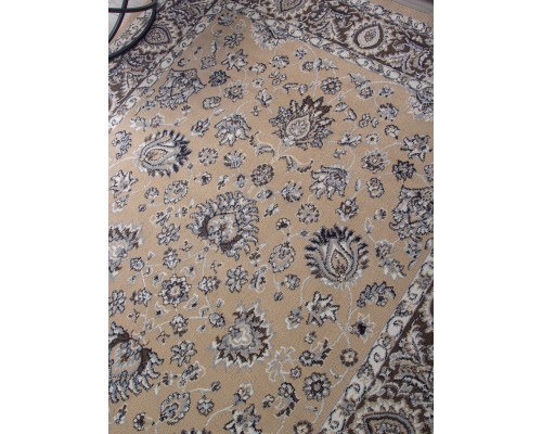 Aidin Carpet Ковер Praga 06030A bej/kahve